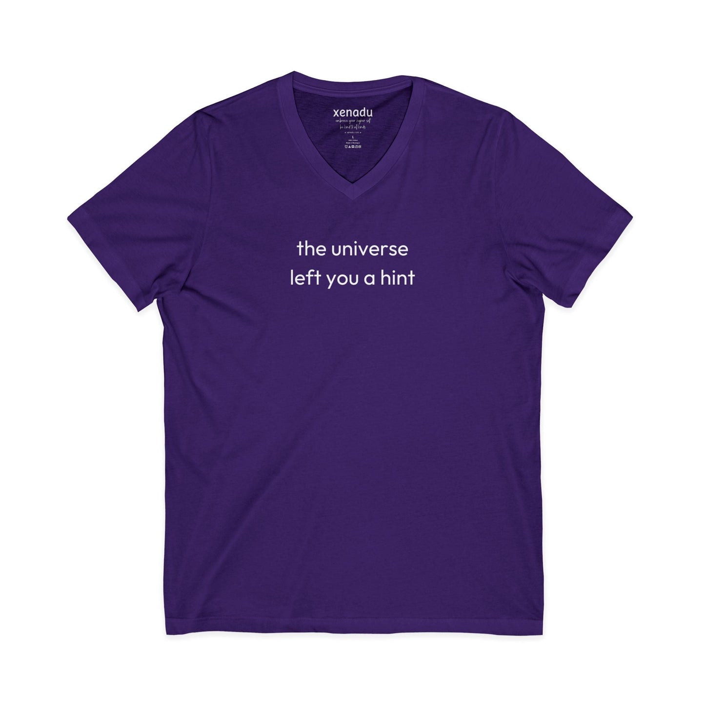 The Universe Left A Hint V-Neck Tee Purple V-neck