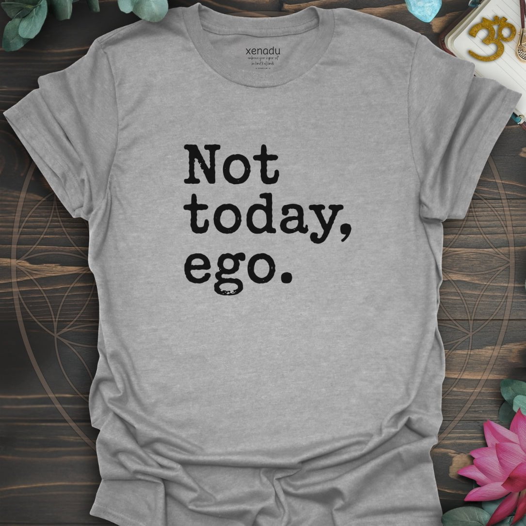 Not Today Ego Tee Sport Grey T-Shirt
