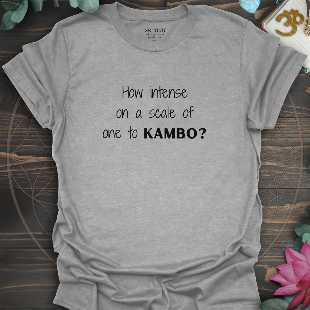 How Intense Tee Sport Grey T-Shirt