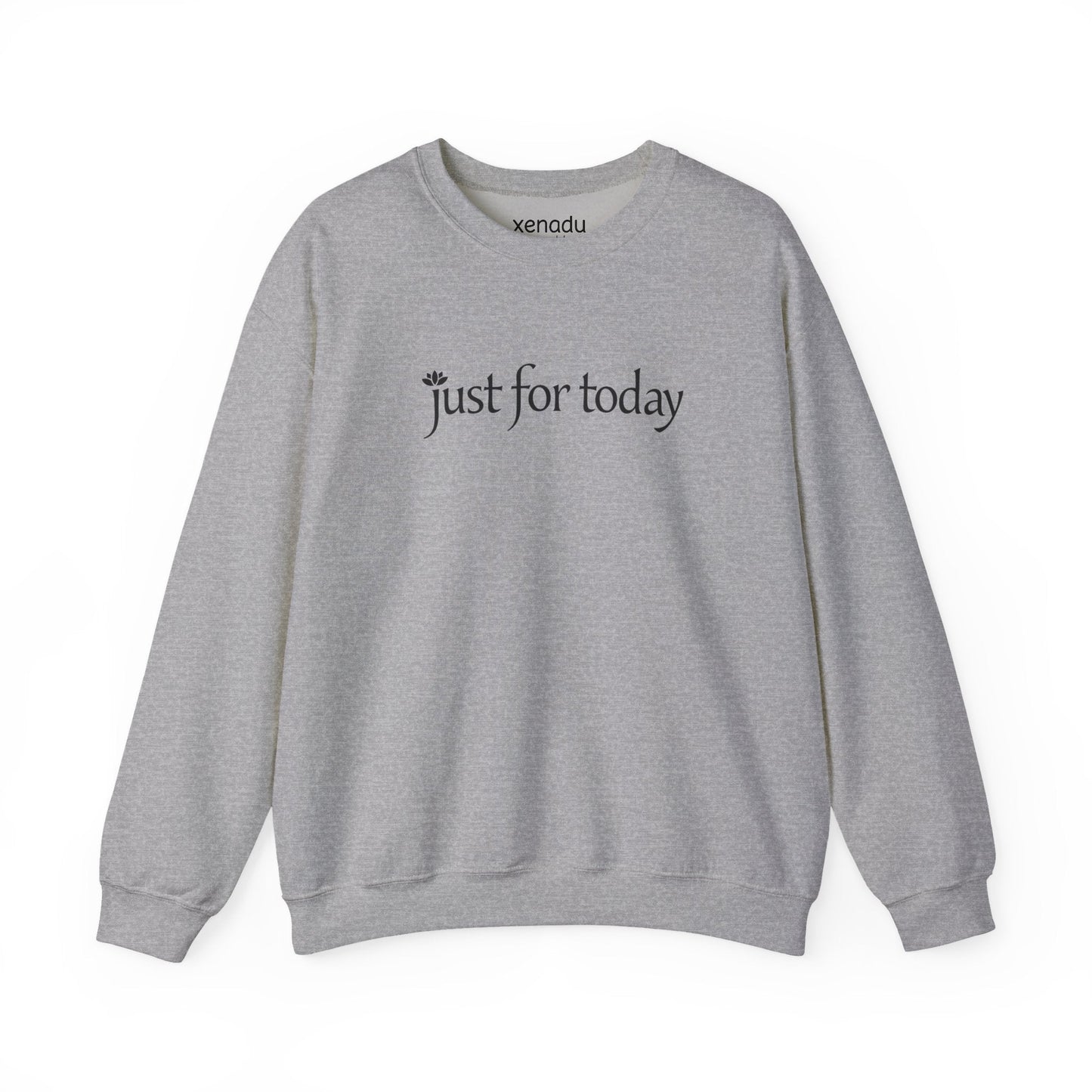 Just for Today Sweatshirt Sport Grey Sweatshirt