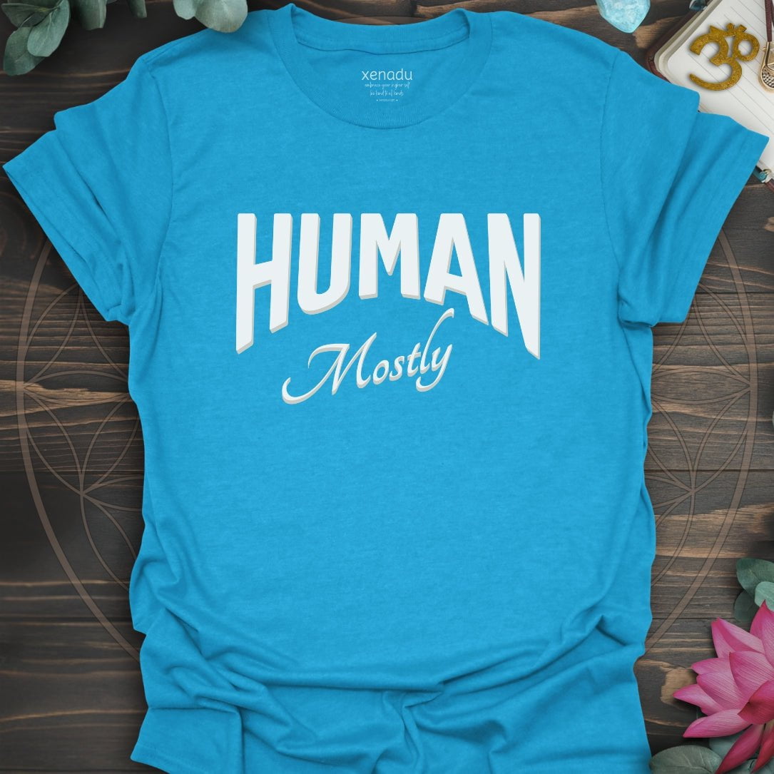 Human, Mostly Tee Heather Sapphire T-Shirt