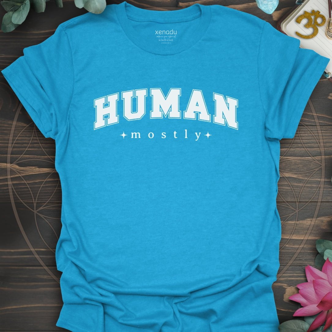 Mostly Human Tee Heather Sapphire T-Shirt