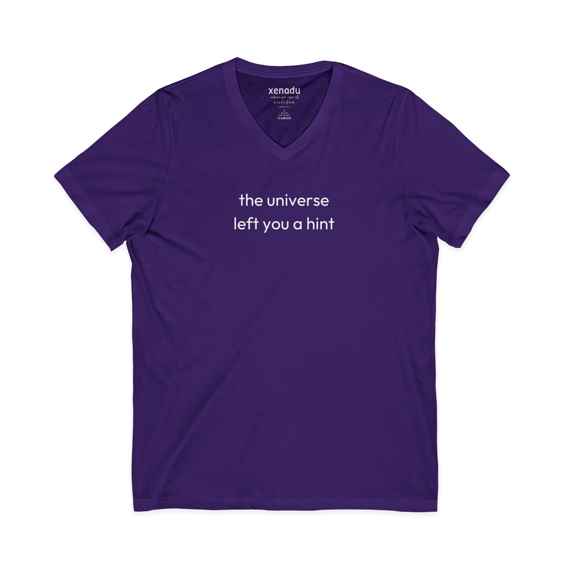 The Universe Left A Hint V-Neck Tee Purple V-neck