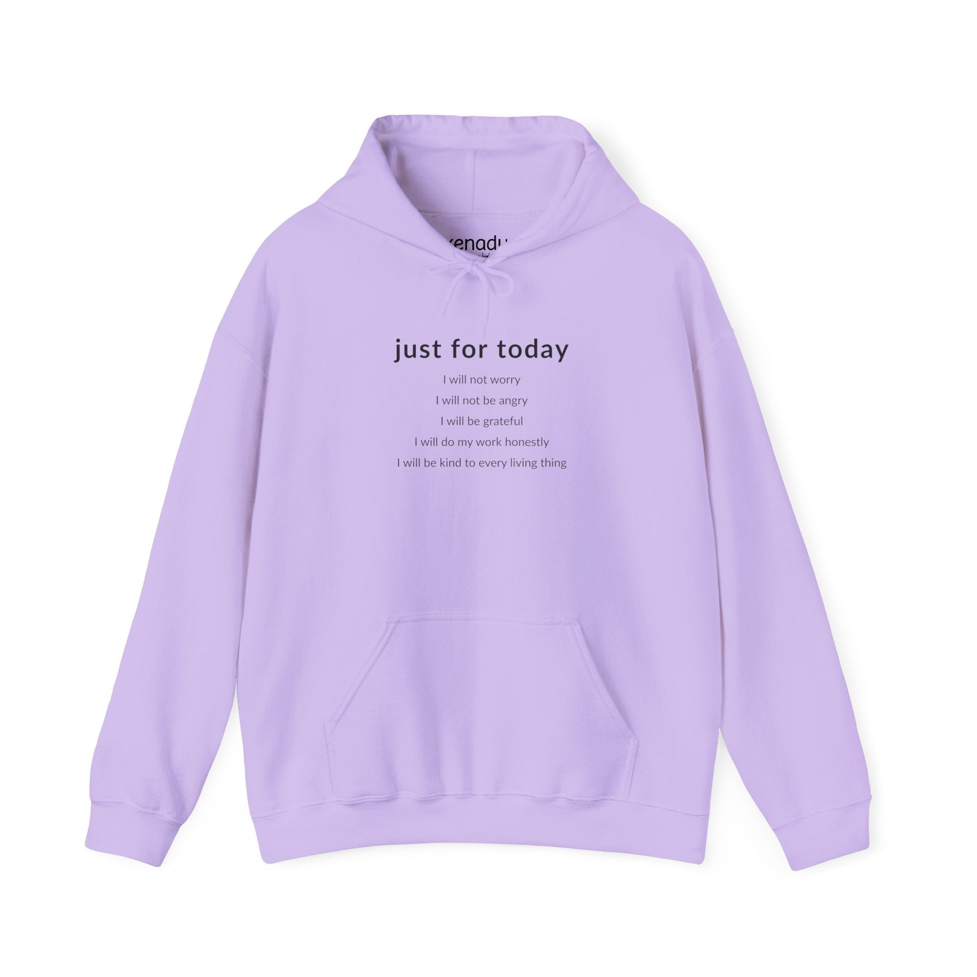 Just For Today I Will Hoodie Orchid Hoodie