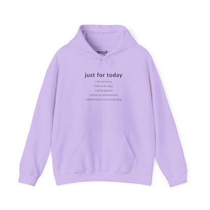 Just For Today I Will Hoodie Orchid Hoodie