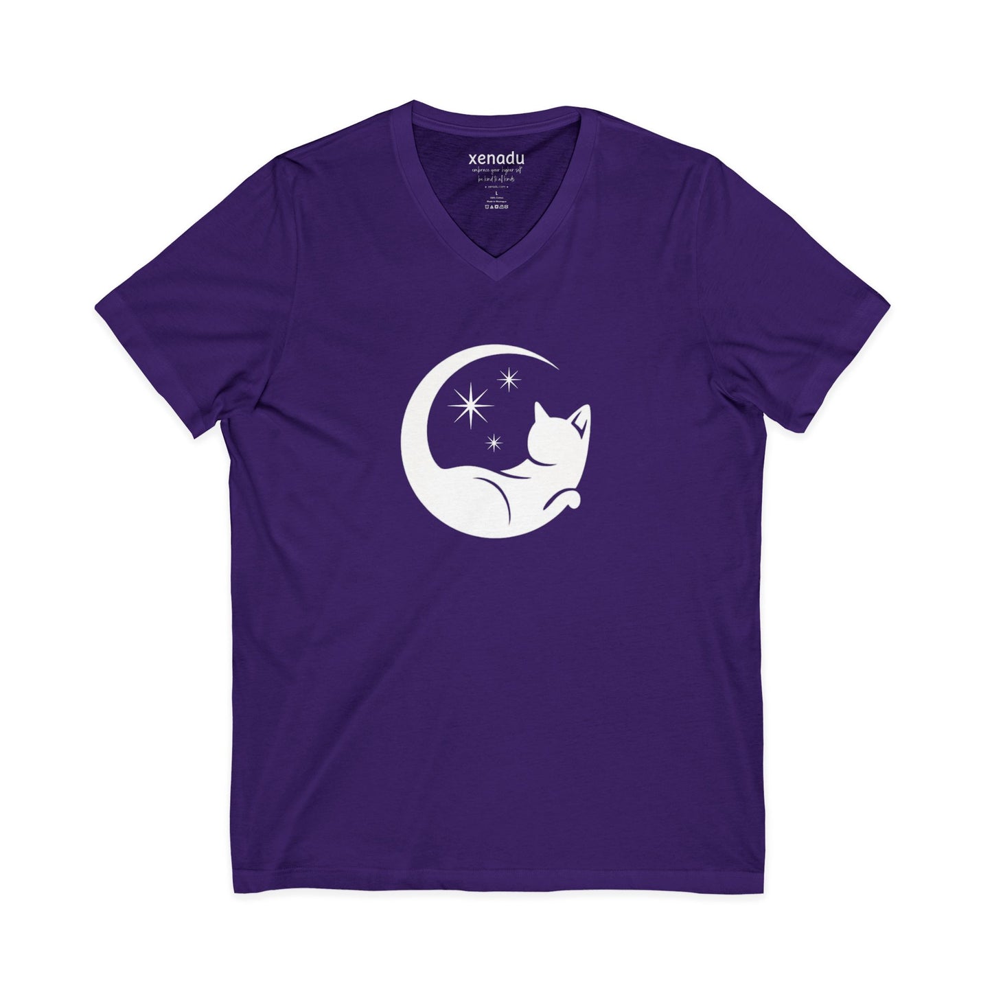Familiar Energy V-Neck Tee