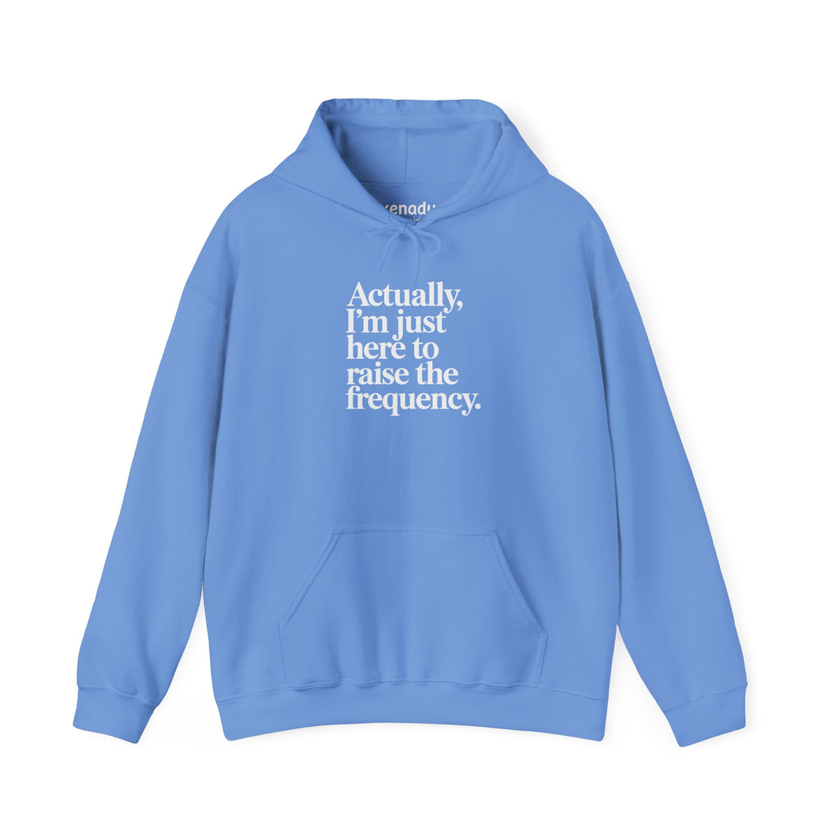 Raise the Frequency Hoodie Carolina Blue