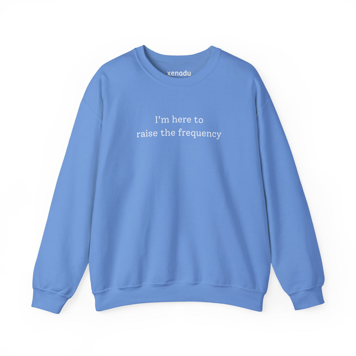 Here to Raise the Frequency Sweatshirt Carolina Blue