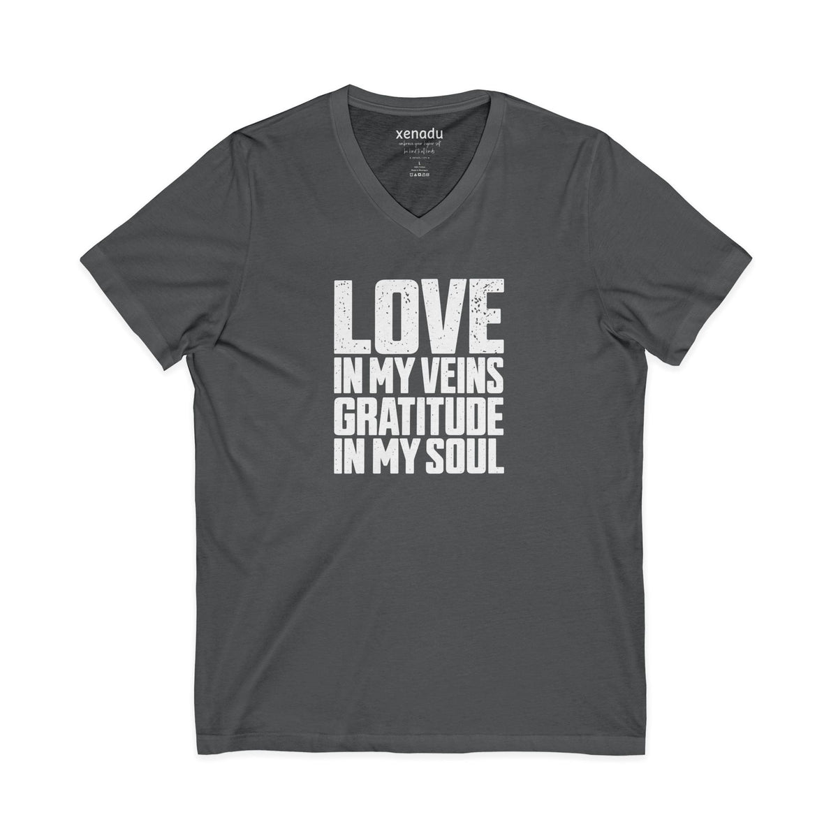 Love In My Veins V-Neck Tee Asphalt V-neck