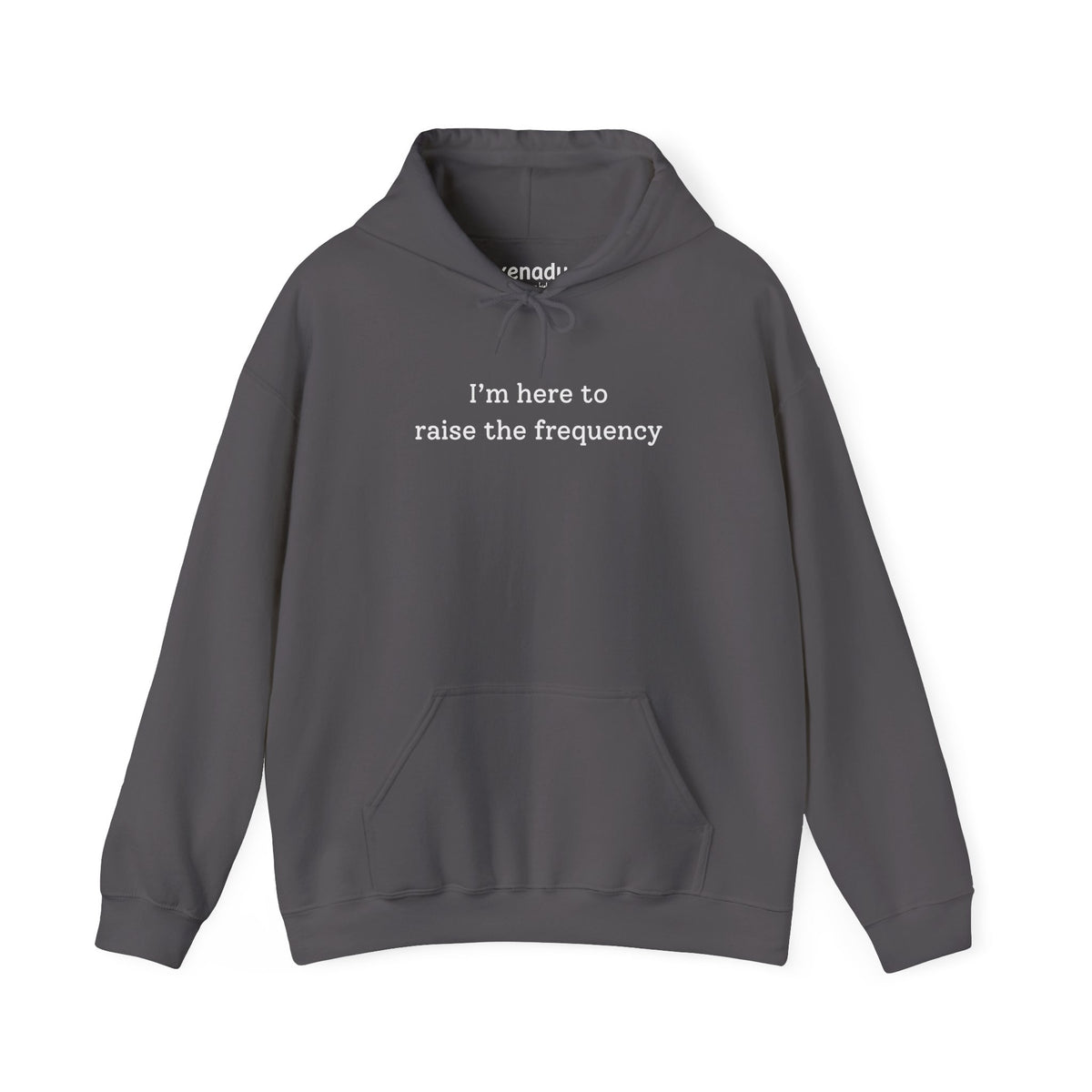Here to Raise the Frequency Hoodie Charcoal