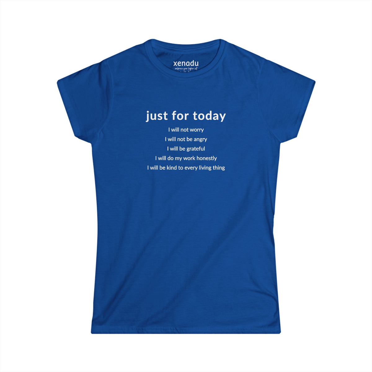 Just For Today I Will Women's Tee Royal Blue