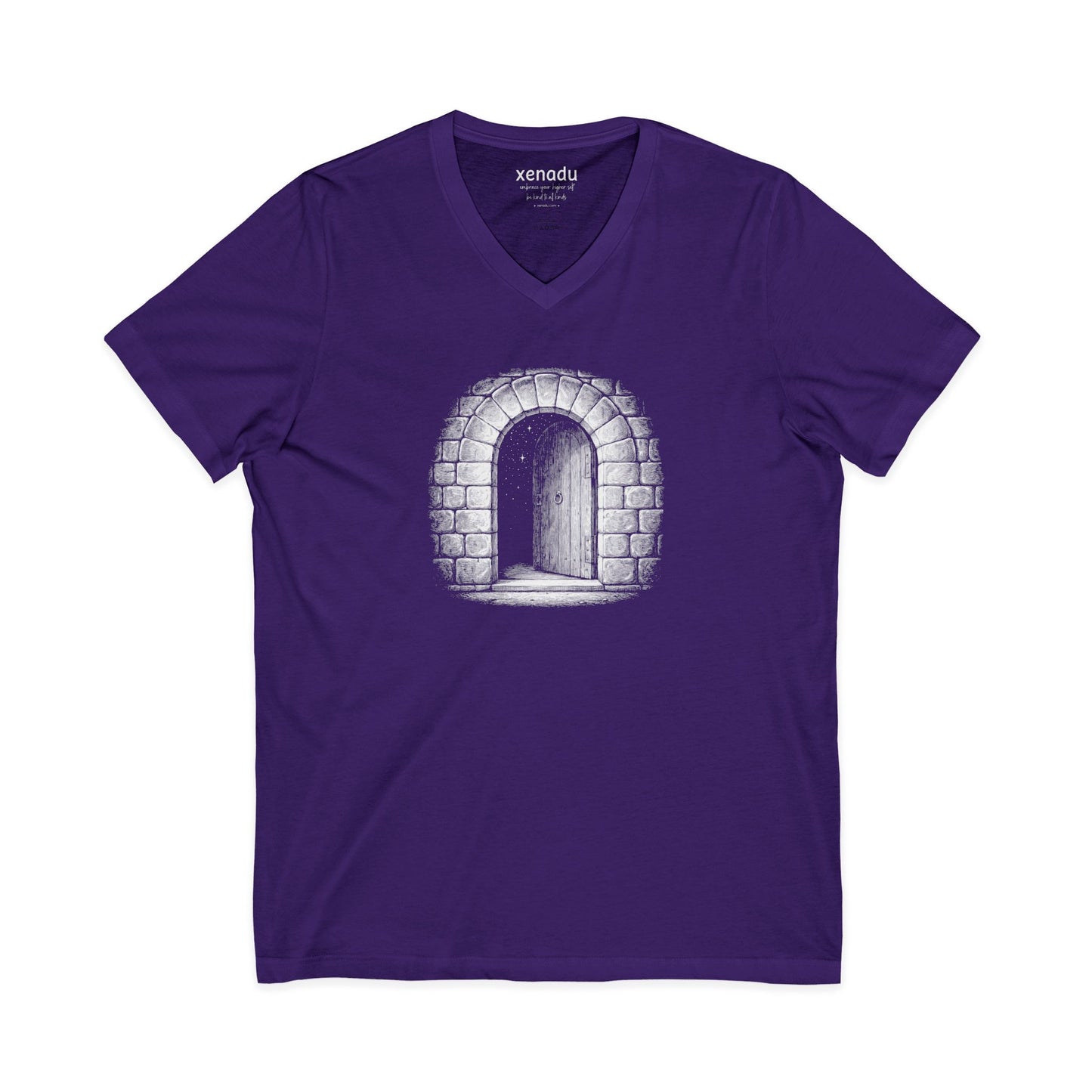 The Threshold V-Neck Tee