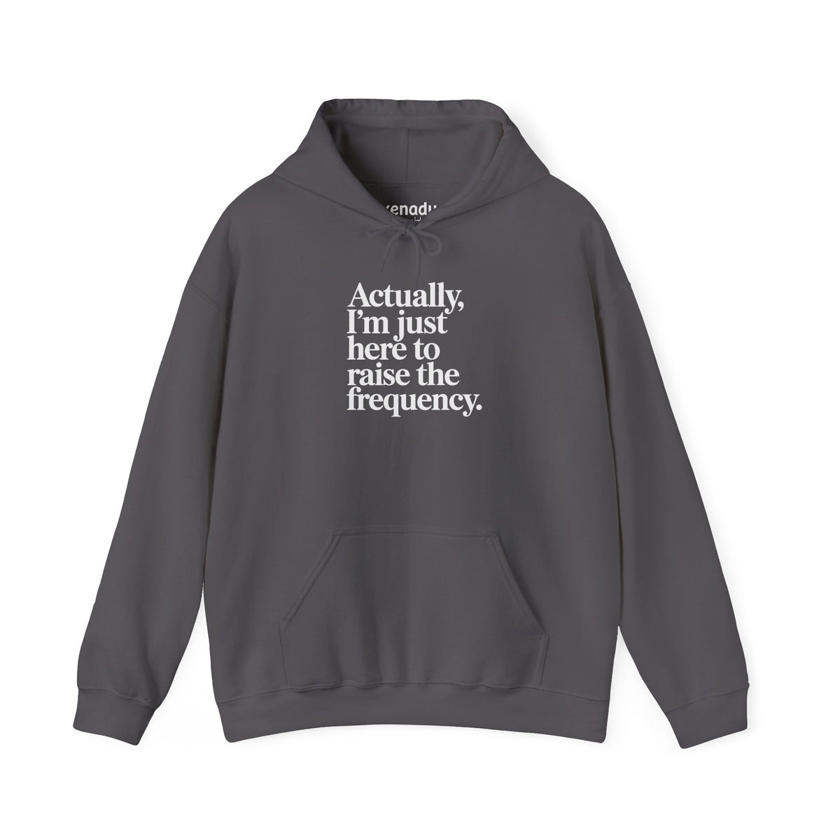 Raise the Frequency Hoodie Charcoal