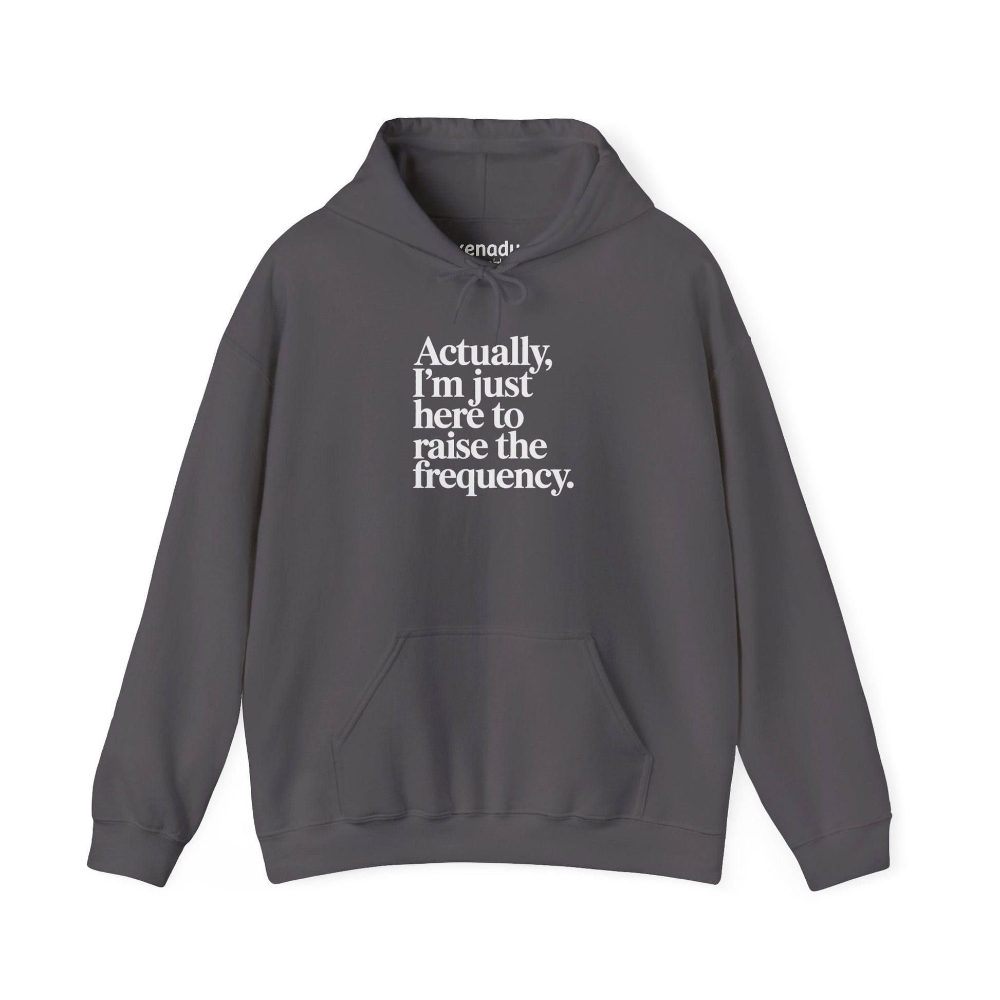 Raise the Frequency Hoodie Charcoal