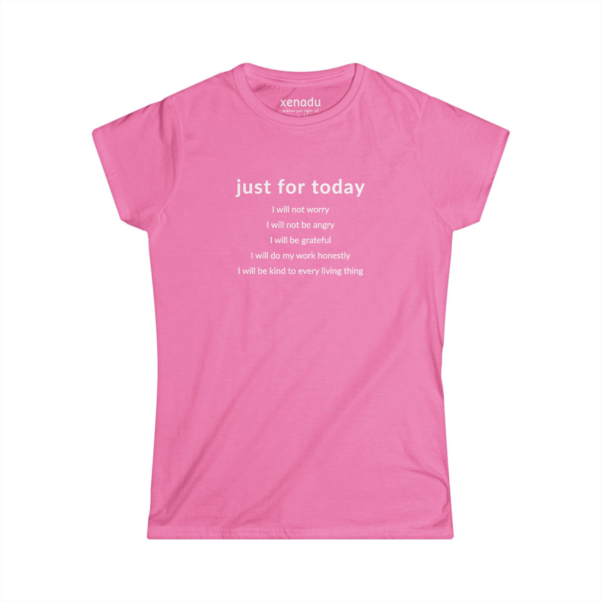 Just For Today I Will Women's Tee Azalea