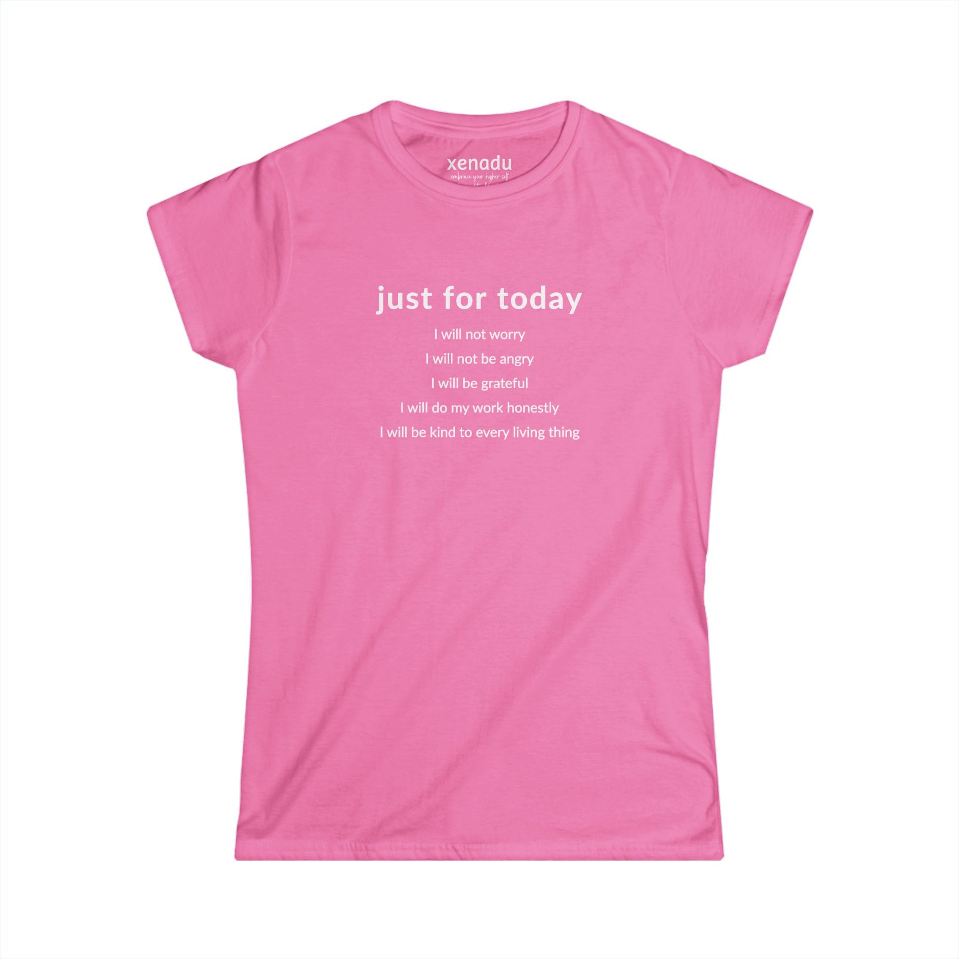 Just For Today I Will Women's Tee Azalea