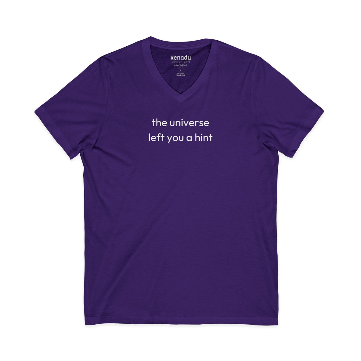 The Universe Left A Hint V-Neck Tee Purple V-neck