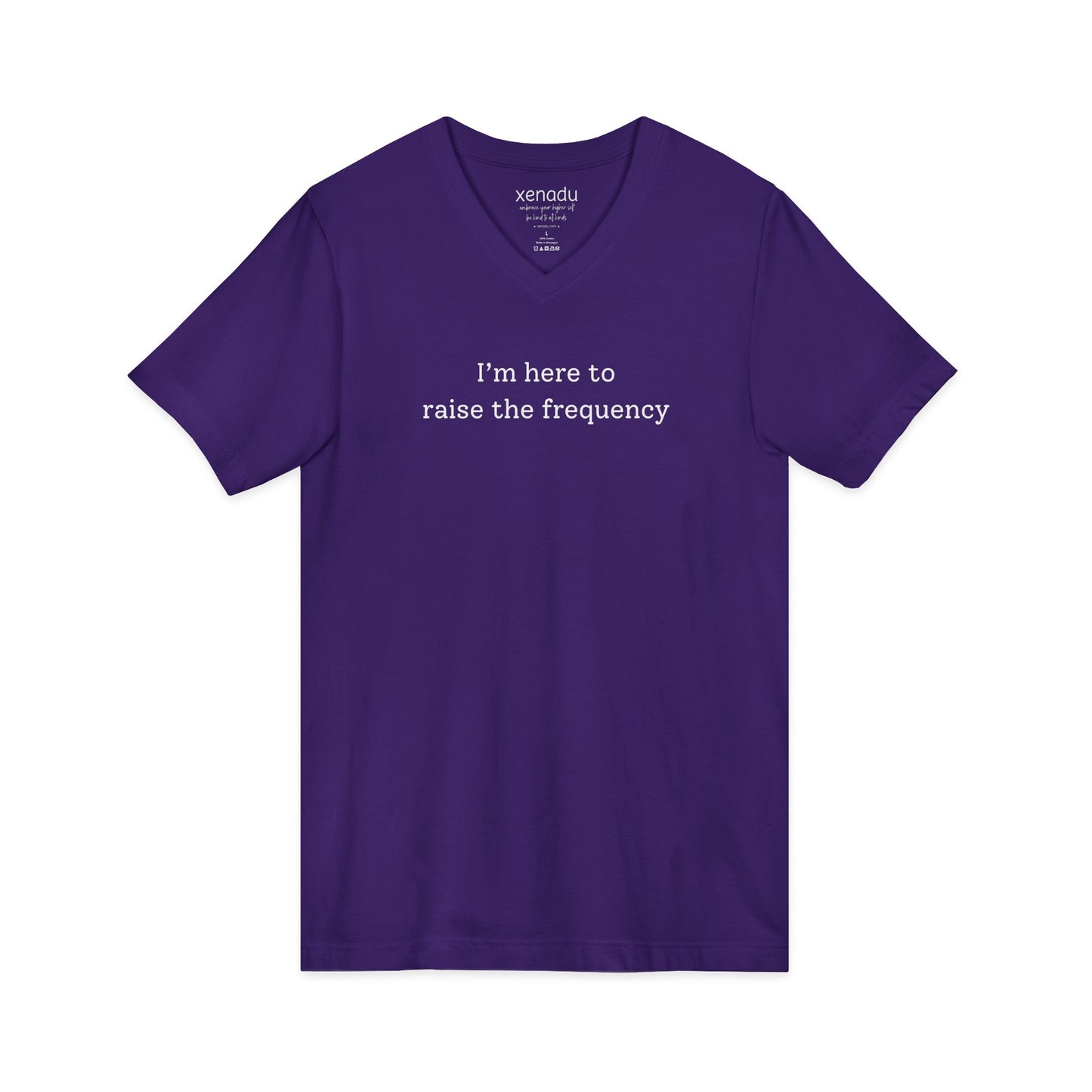 Here to Raise the Frequency V-Neck Tee V-neck