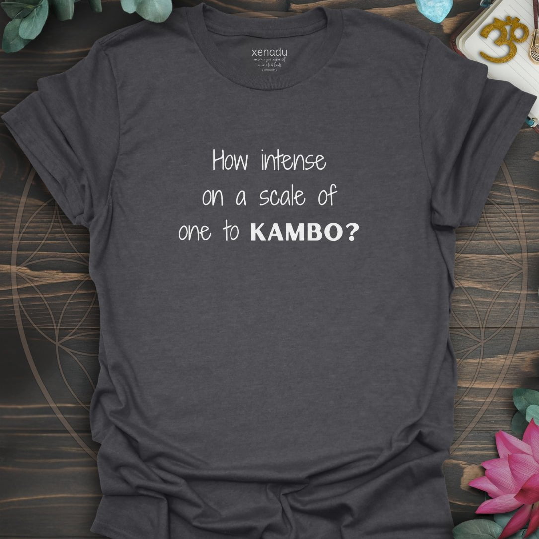 How Intense Tee Dark Heather Grey T-Shirt