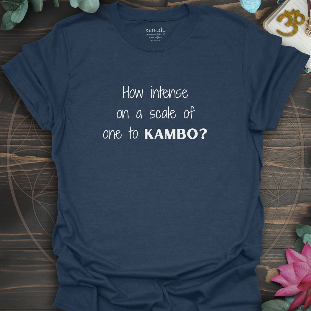 How Intense Tee Heather Navy T-Shirt