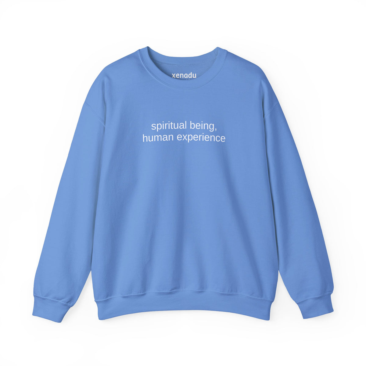 Human Experience Sweatshirt Carolina Blue Sweatshirt