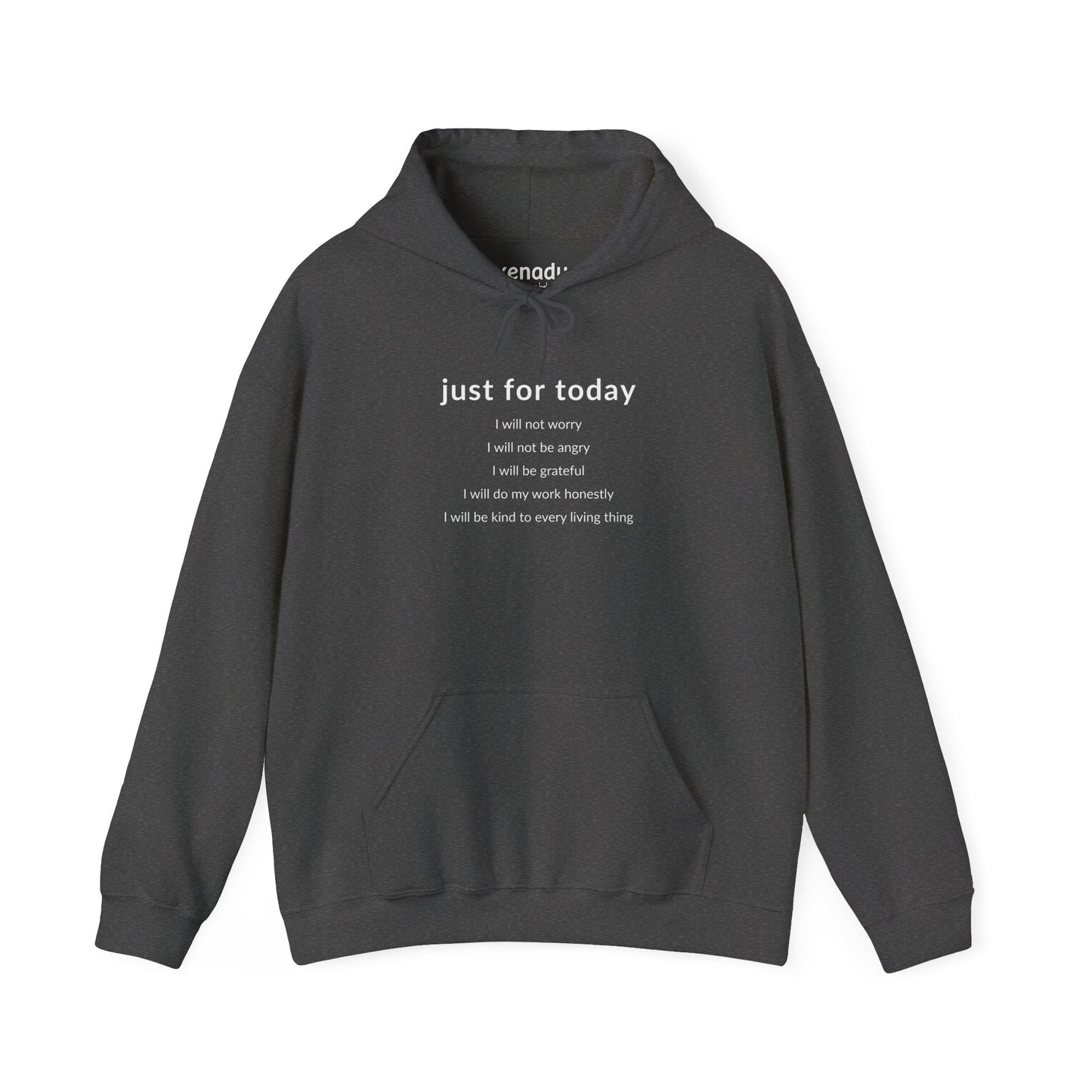 Just For Today I Will Hoodie Dark Heather Grey Hoodie