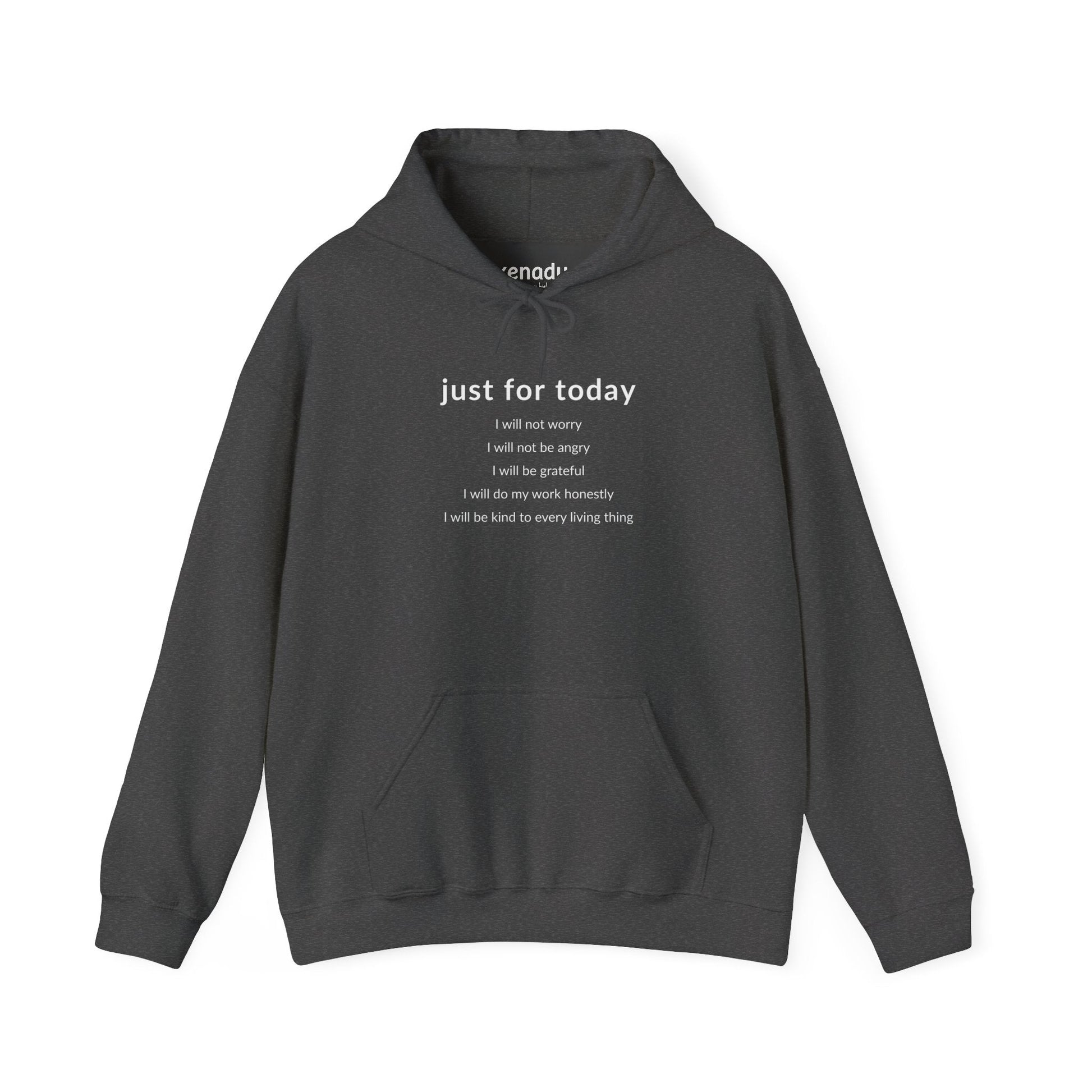 Just For Today I Will Hoodie Dark Heather Grey Hoodie