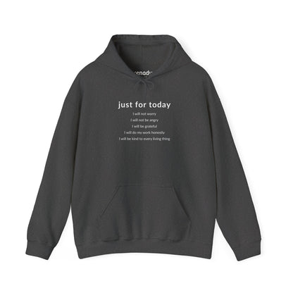 Just For Today I Will Hoodie Dark Heather Grey Hoodie
