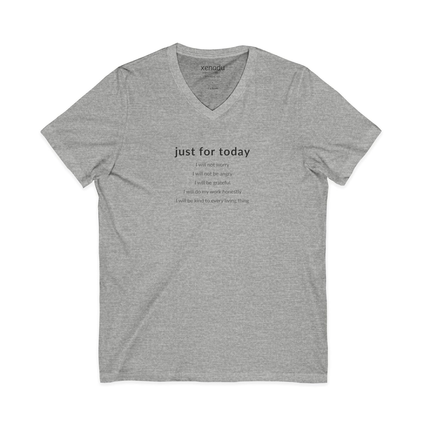 Just For Today I Will V-Neck Tee Sport Grey V-neck
