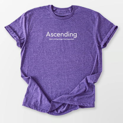 Ascending Taking Longer Tee Heather Purple T-Shirt