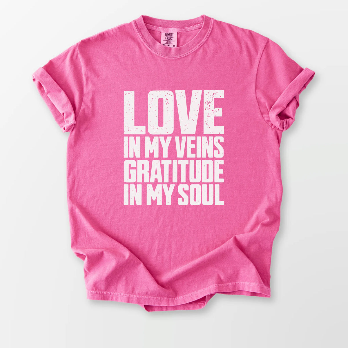 Love In My Veins Comfort Tee Crunchberry T-Shirt