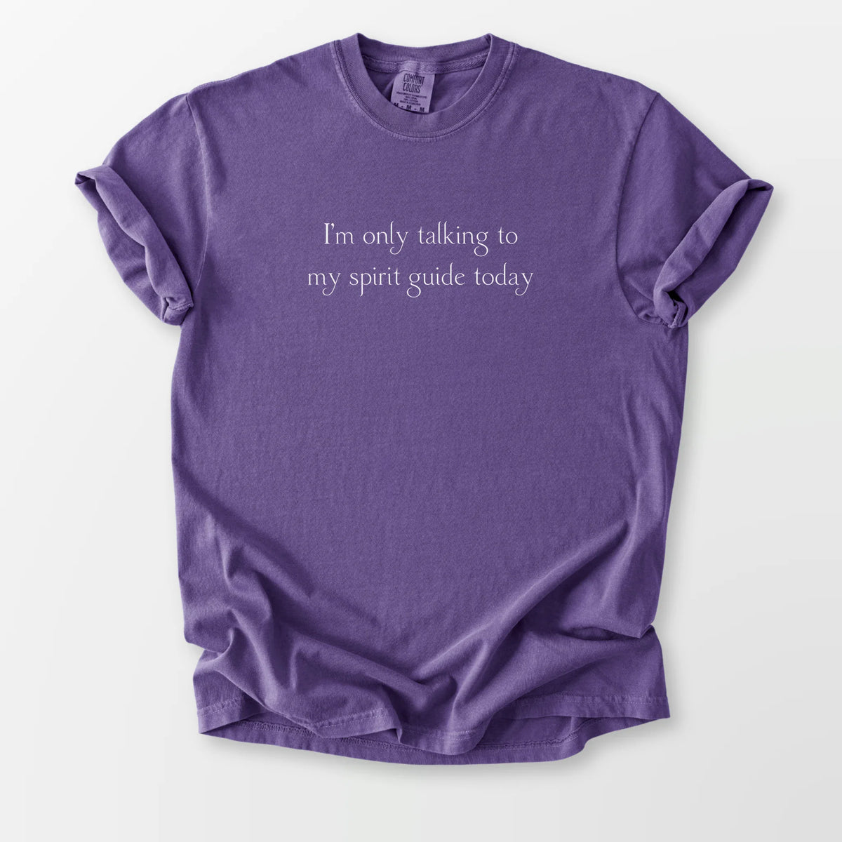 Only Talking To My Guide Comfort Tee Grape T-Shirt
